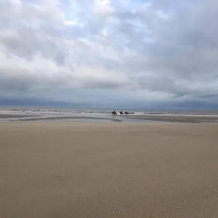 Appartement Charming 2br Private Garden, 5mintobeach Deauville