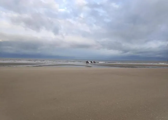 Appartement Charming 2br Private Garden, 5mintobeach Deauville